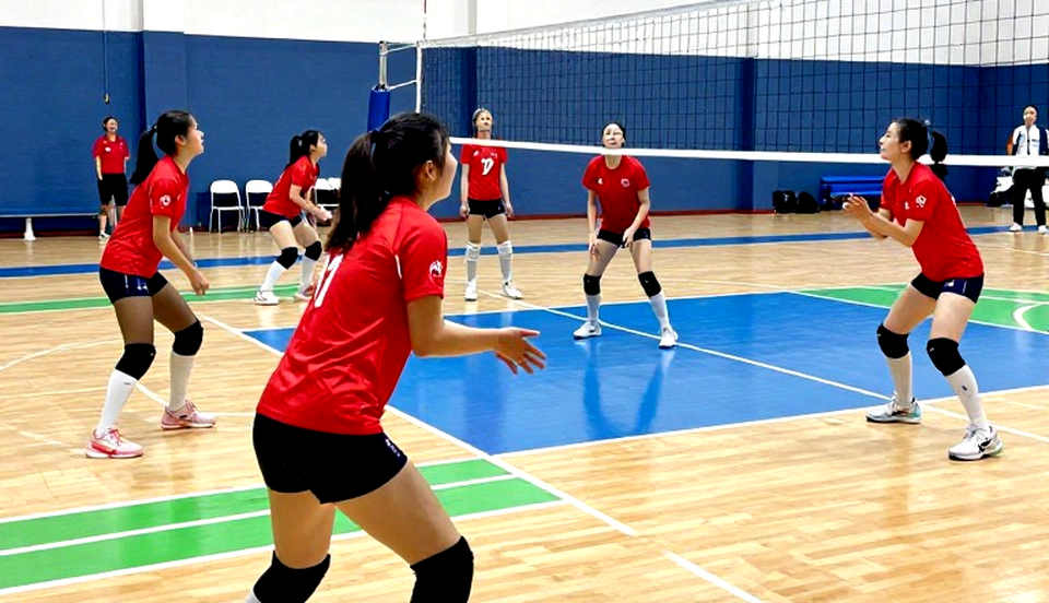 Khán đài kín chỗ, hợp đồng bỏ trống: bóng chuyền nữ Nhật Bản qua lăng kính dữ liệu